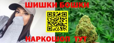 мдпв Бердск