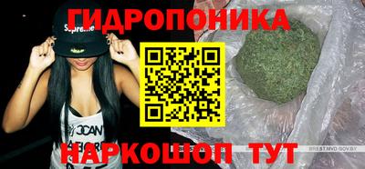 стаф Белореченск