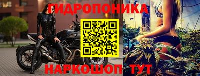 мдпв Бердск
