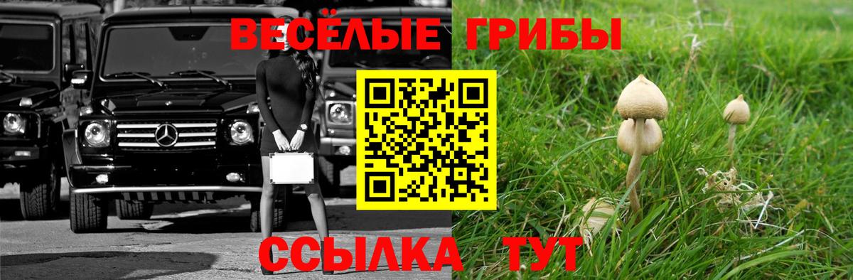 Галлюциногенные грибы GOLDEN TEACHER  Псилоцибиновые грибы MAGIC MUSHROOMS  Городец  Вход с VPN 