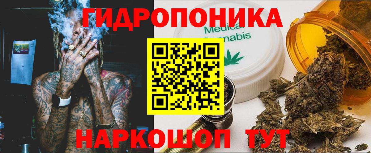 Каннабис OG Kush Городец